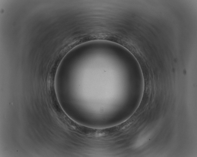 X0000086270647200704051310