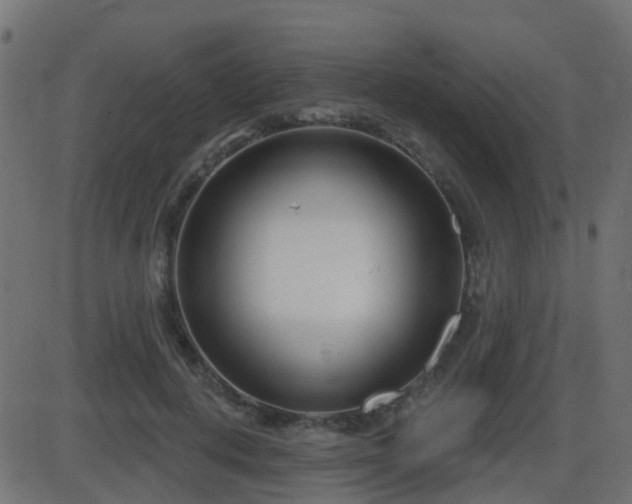 X0000086270648200704051310