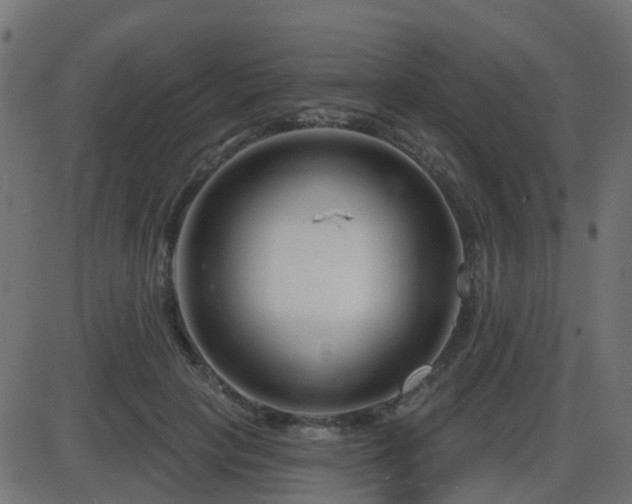 X0000086270649200704051310