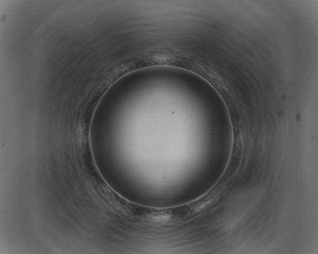 X0000086270651200704051310