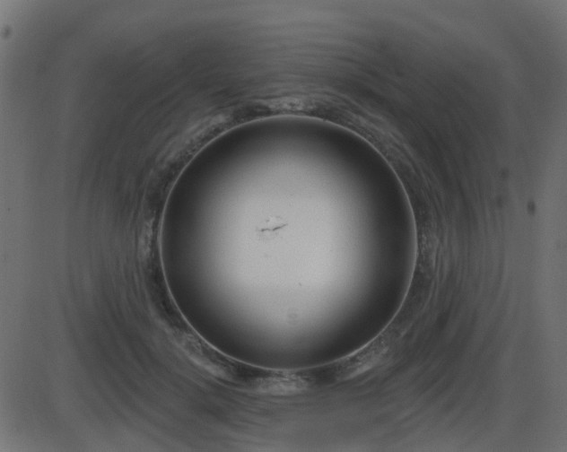 X0000086270652200704051310