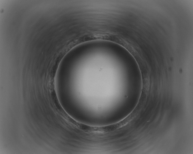 X0000086270653200704051310