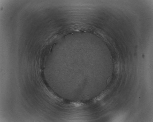 X0000086270654200704051310