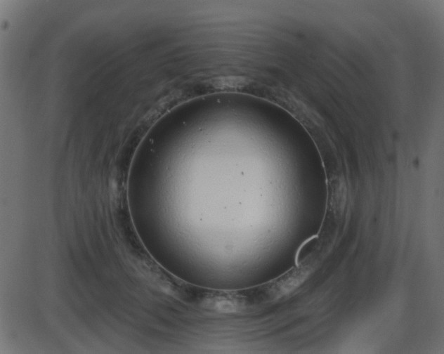 X0000086270655200704051310