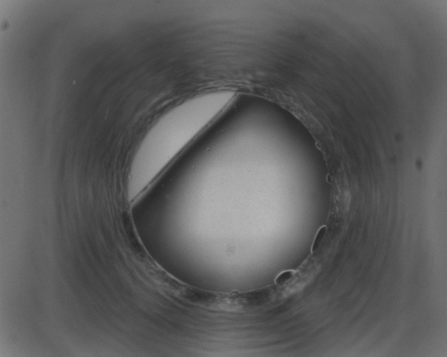 X0000086270656200704051310