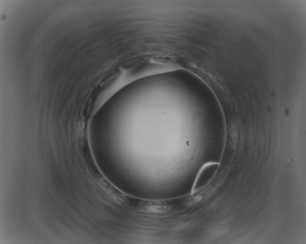 X0000086270657200704051310