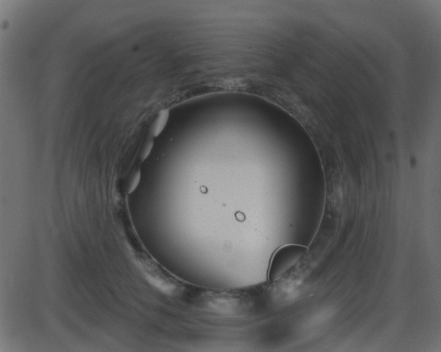 X0000086270658200704051310