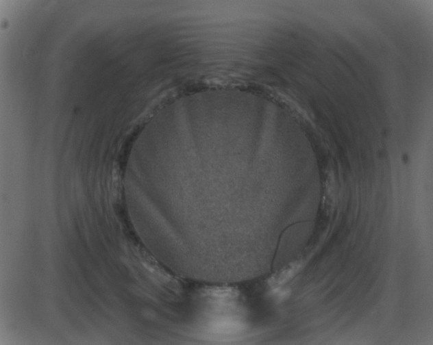 X0000086270659200704051310