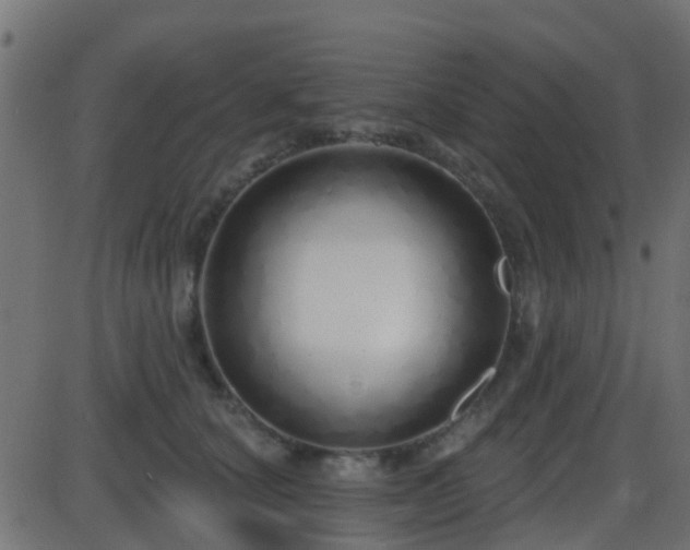 X0000086270660200704051311