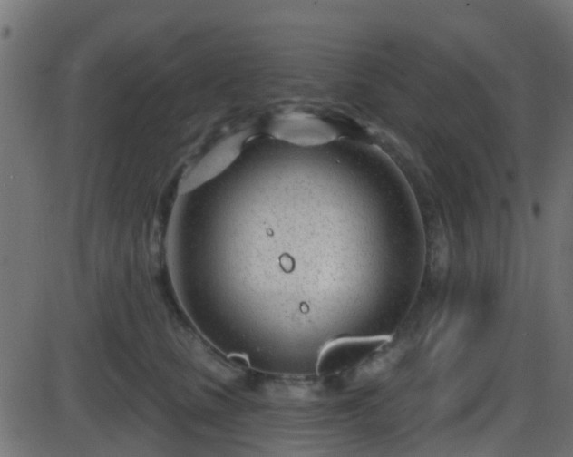 X0000086270661200704051311