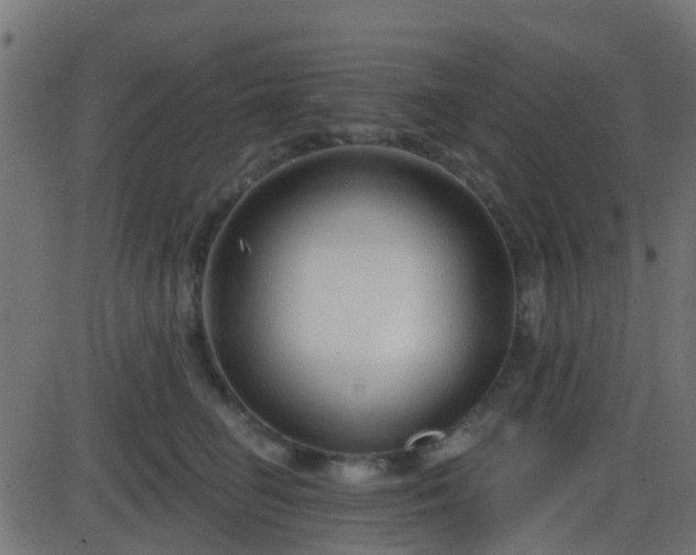 X0000086270662200704051311