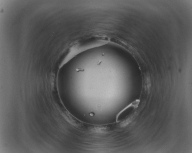 X0000086270664200704051311