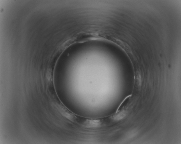 X0000086270665200704051311