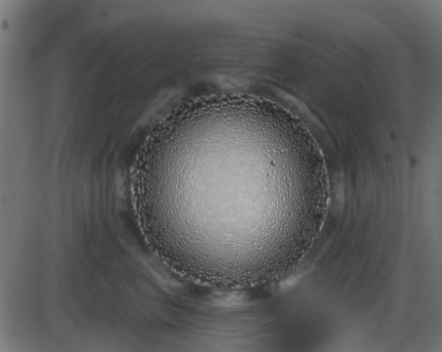 X0000086270667200704051311