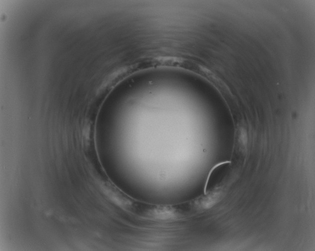 X0000086270668200704051311