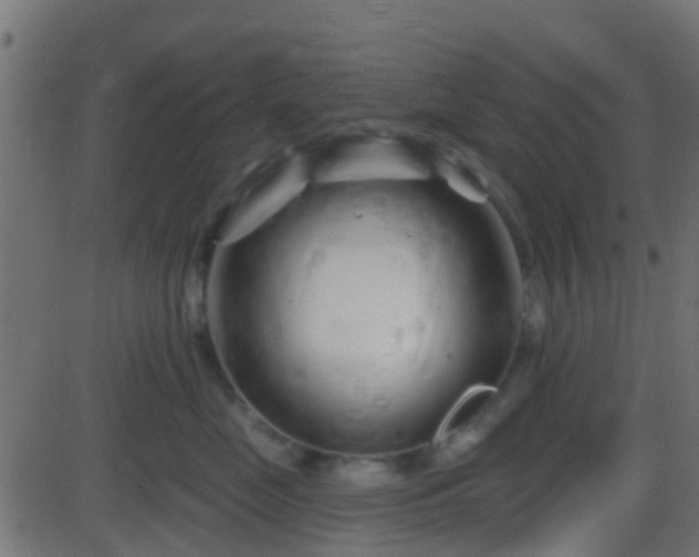 X0000086270669200704051311