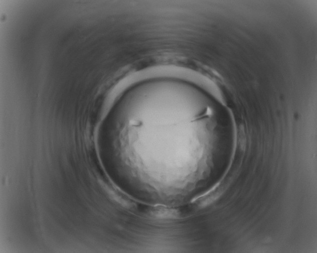 X0000086270670200704051311