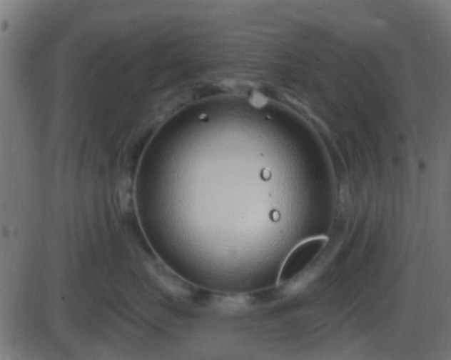 X0000086270671200704051311