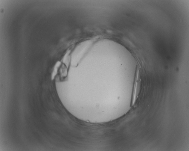 X0000086270672200704051311