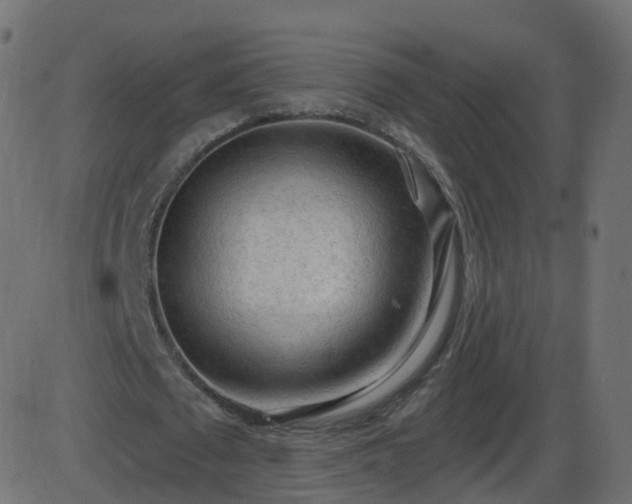 X0000086270673200704051310