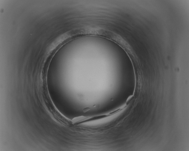 X0000086270674200704051310