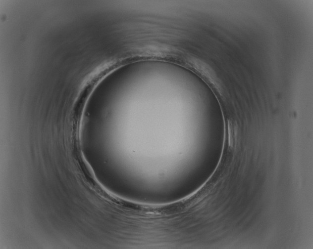 X0000086270675200704051310