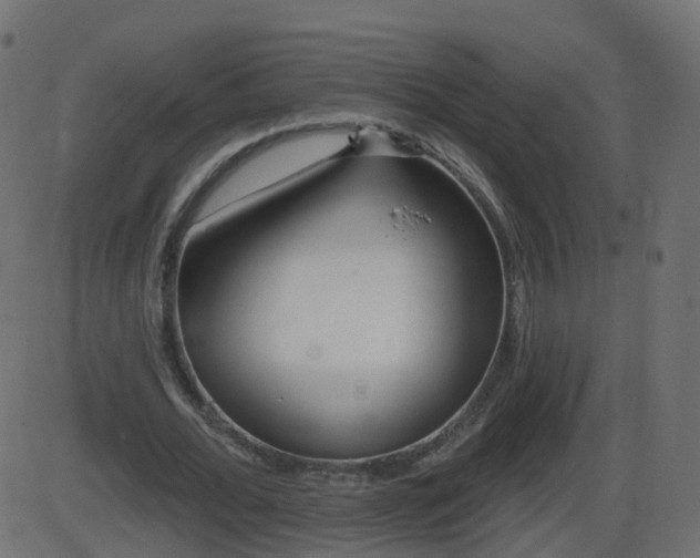 X0000086270676200704051310