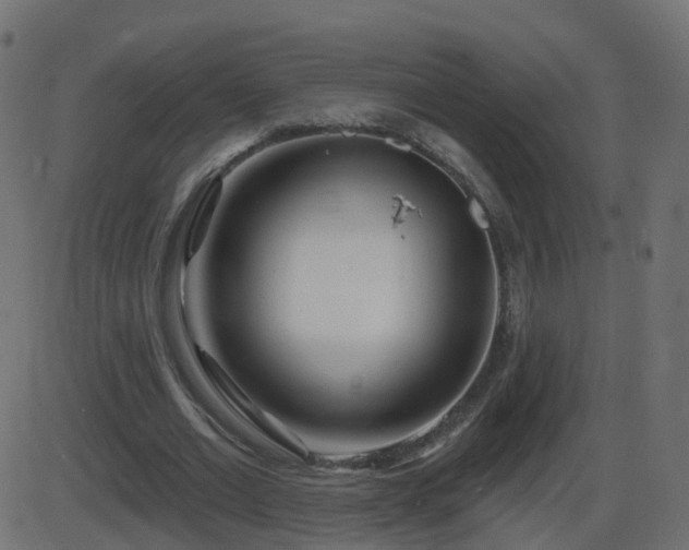 X0000086270677200704051310