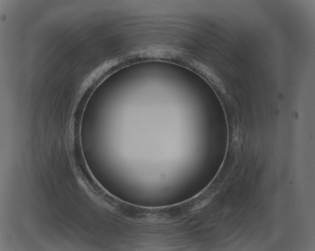 X0000086270678200704051310