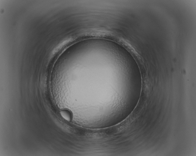 X0000086270679200704051310