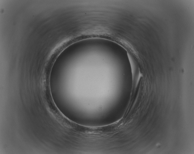 X0000086270680200704051310