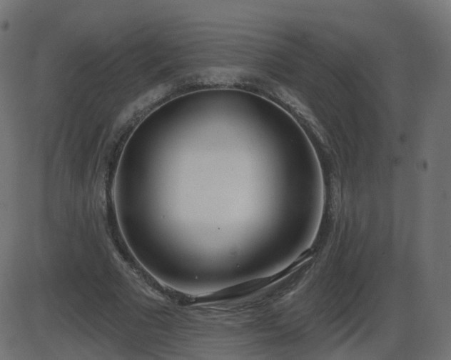 X0000086270681200704051310