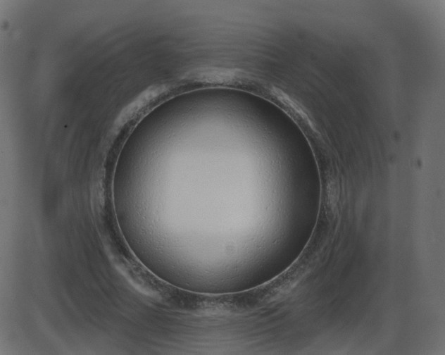 X0000086270682200704051310