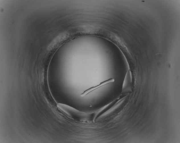 X0000086270685200704051310