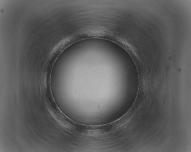 X0000086270686200704051310