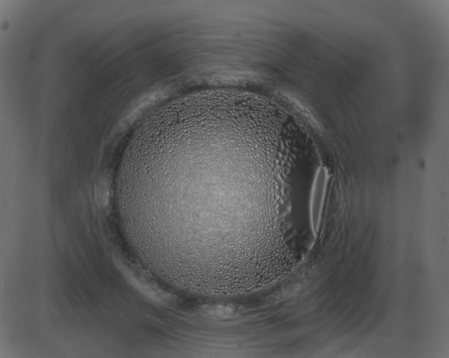 X0000086270687200704051310