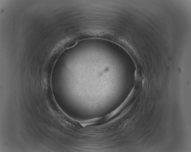 X0000086270688200704051310