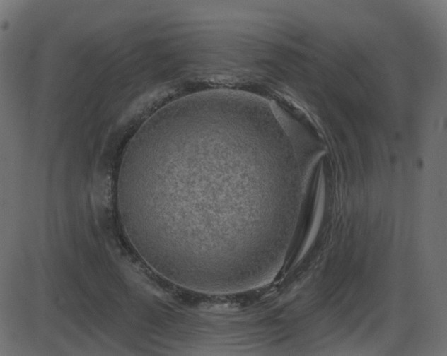 X0000086270689200704051310