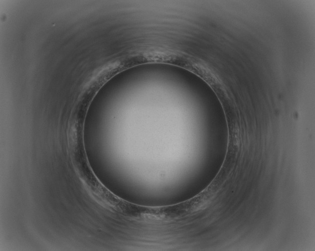 X0000086270690200704051310