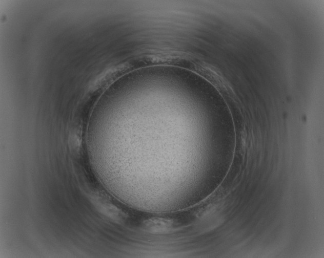 X0000086270691200704051310