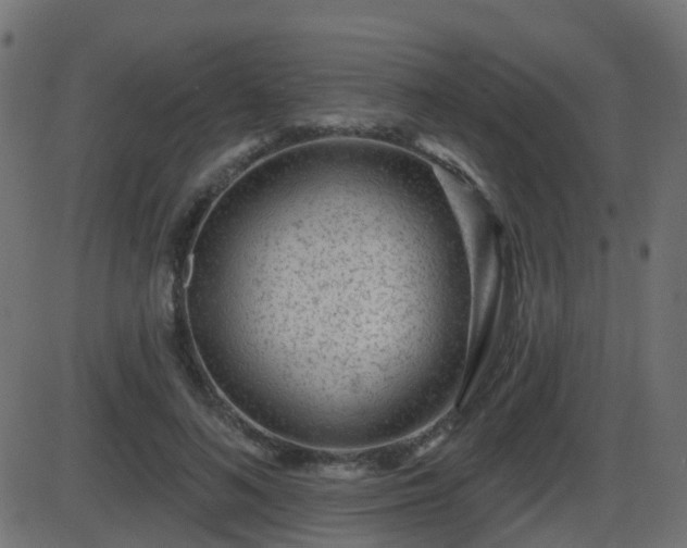 X0000086270692200704051310