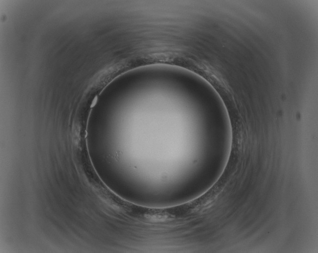 X0000086270693200704051310