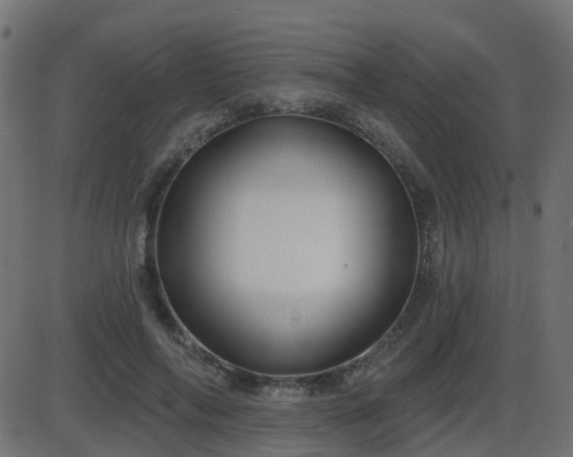 X0000086270694200704051310