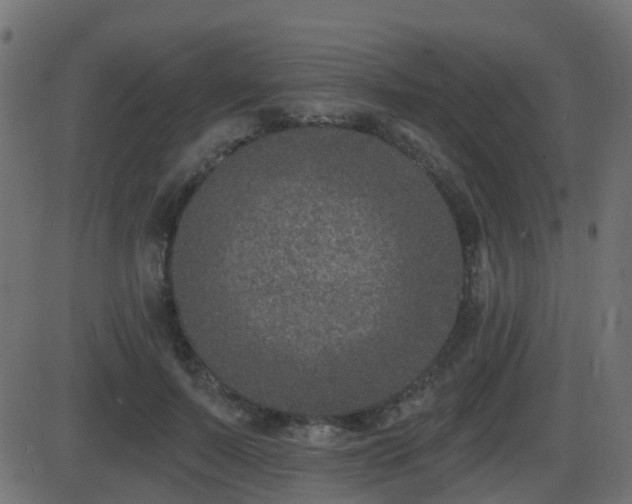 X0000086270695200704051310