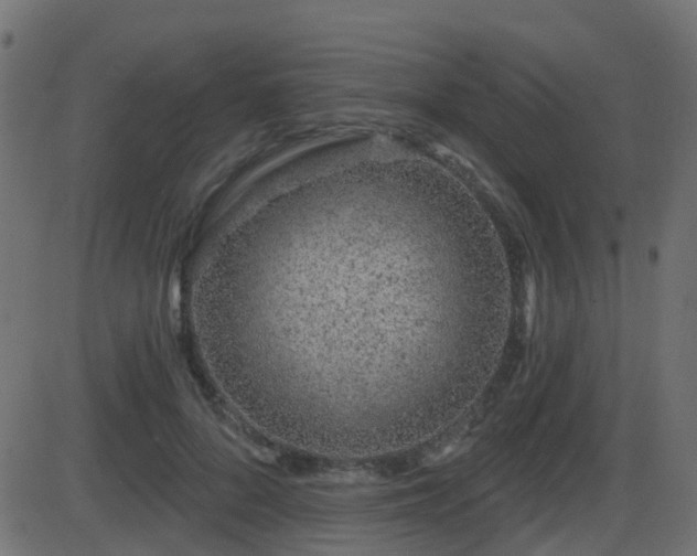 X0000086270696200704051310