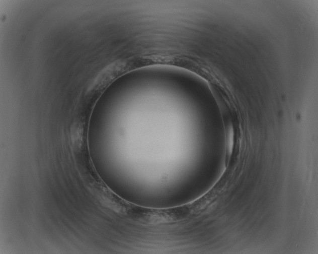 X0000086270697200704051310