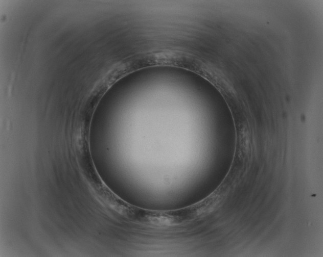 X0000086270698200704051309