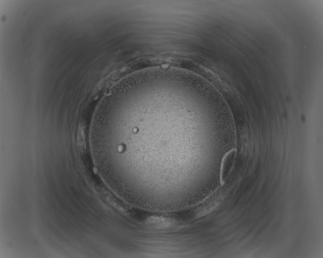 X0000086270699200704051309