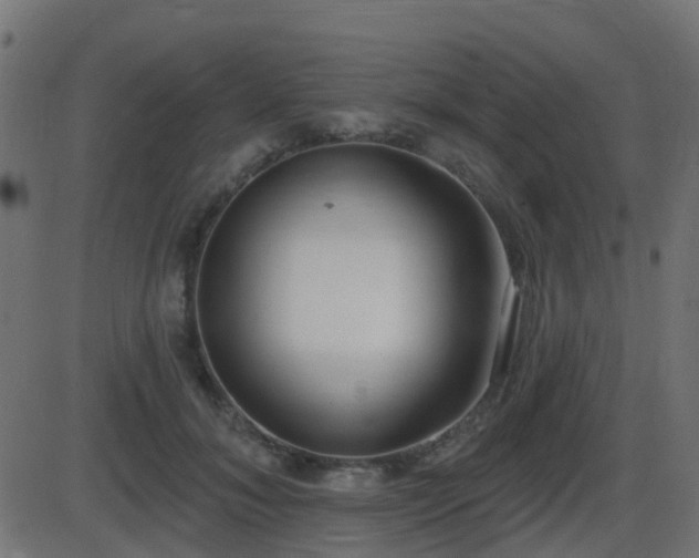 X0000086270700200704051309