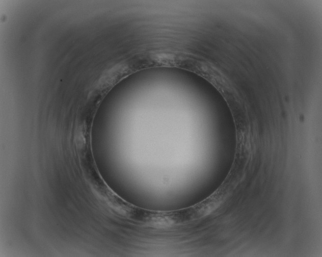 X0000086270702200704051309